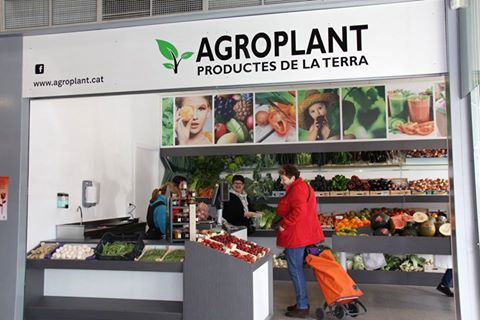 Agroplant Lladó-Tàpia